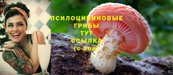 спиды Абинск