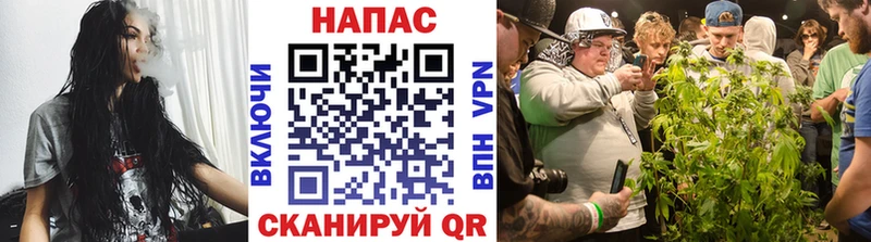 Шишки марихуана MAZAR  Остров 